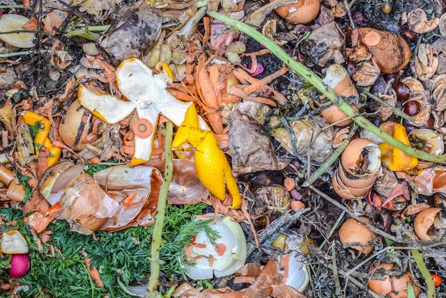 compost, garden waste, waste, compost pile, biological, compost, compost, compost, compost, compost, compost pile. Compost vs fertilizer: four inputs compared