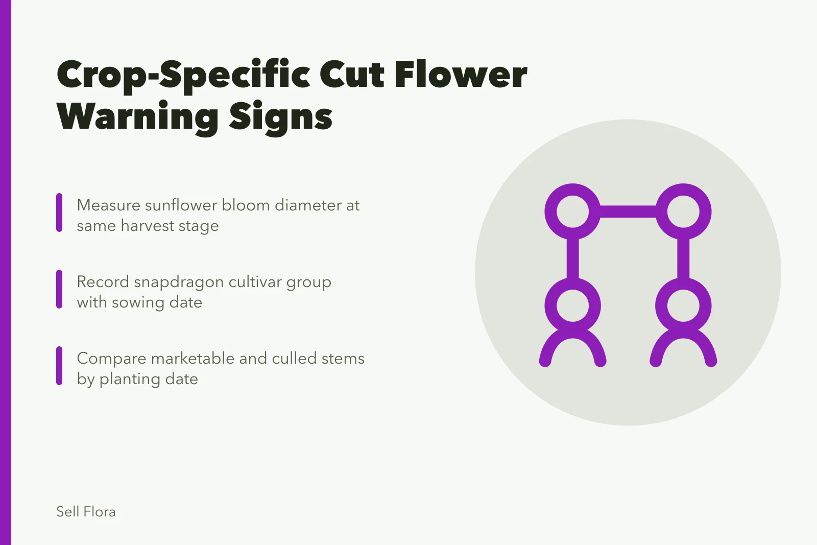 Cut flower crop diagnostic card comparing sunflower, snapdragon, zinnia, and dahlia issues. Reading crop-specific warning signs before a cut flower harvest goes wrong