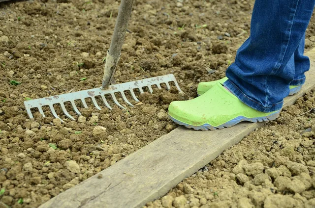 garden, gardening, bed, earth, nature, garden soil, garden land, computing, plants, sow, floor, work, plant, own products. Cut flower soil recovery: an illustrative diagnostic process