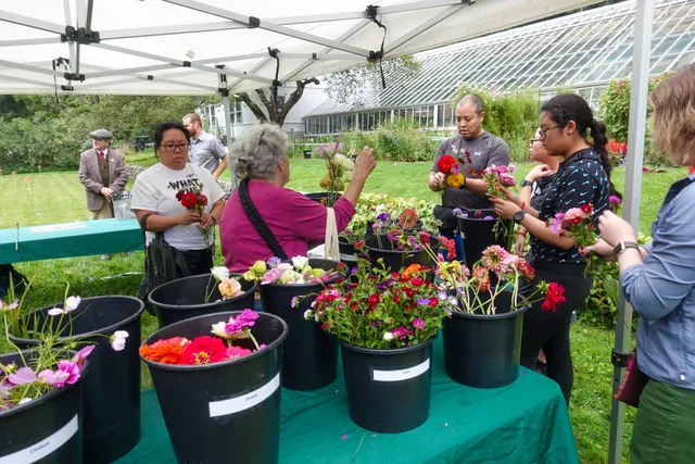 tables with black buckets full of cut flowers, visitors create bouquets, greenhouse in background Create-a-Bouquet station in the Cutting Garden Keywords: mabi; garden day; marsh-billings-rockefeller national historical park. Cut flower channel mix case study: fictional farm redesign