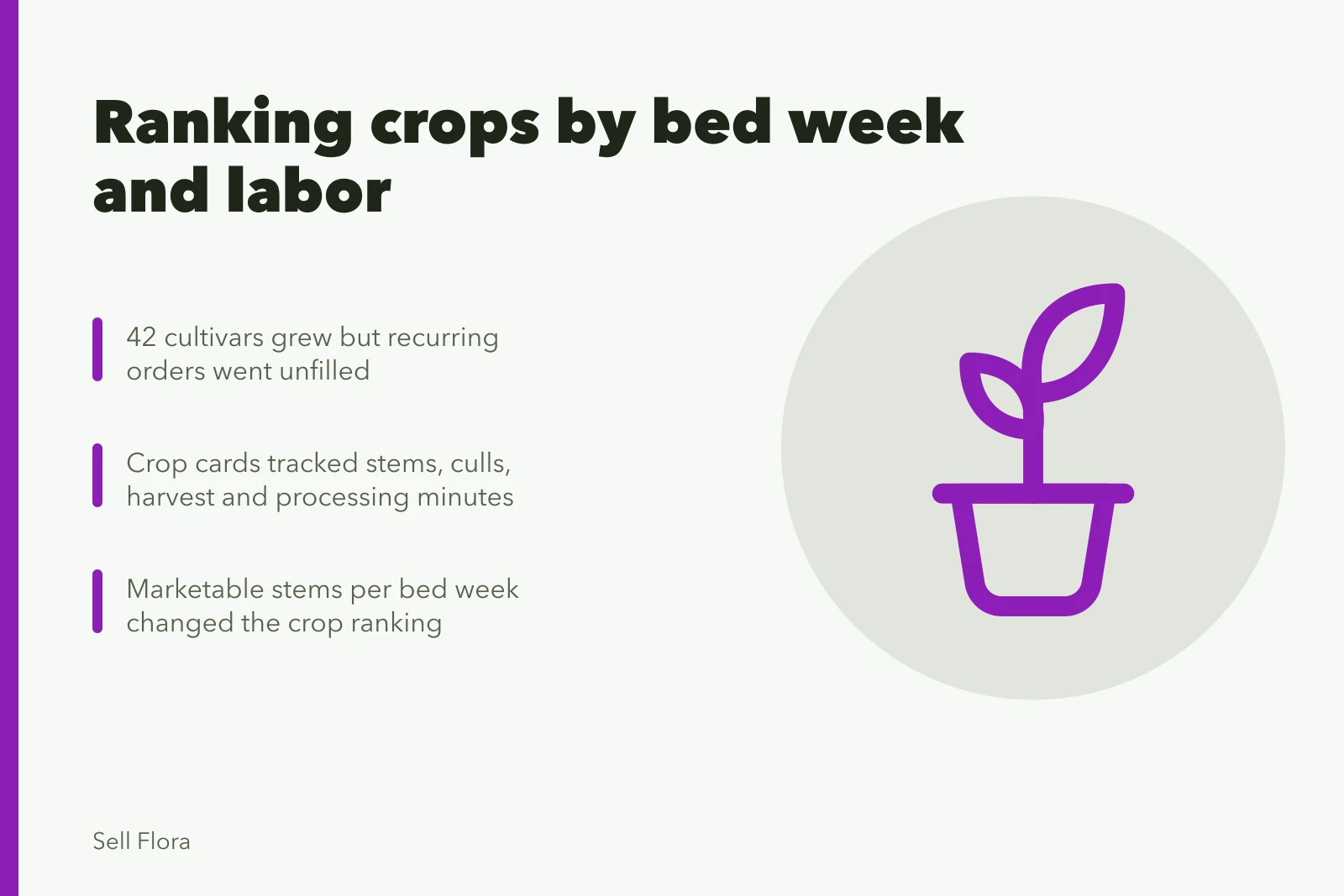 Cut flower crop cards comparing stems, labor, and bed weeks. Can a smaller cut flower crop list still cover four dependable earners?