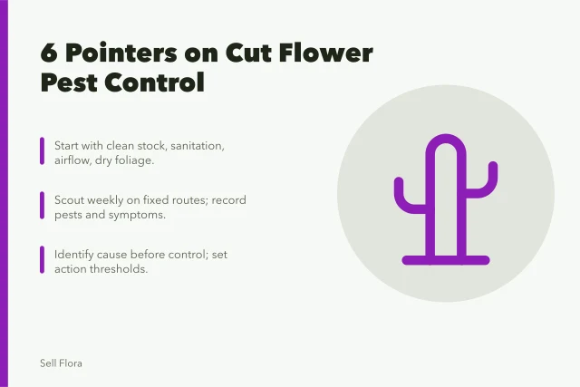 Cut flower pest management guide with scouting and prevention steps. 6 pointers on cut flower pest that hold up