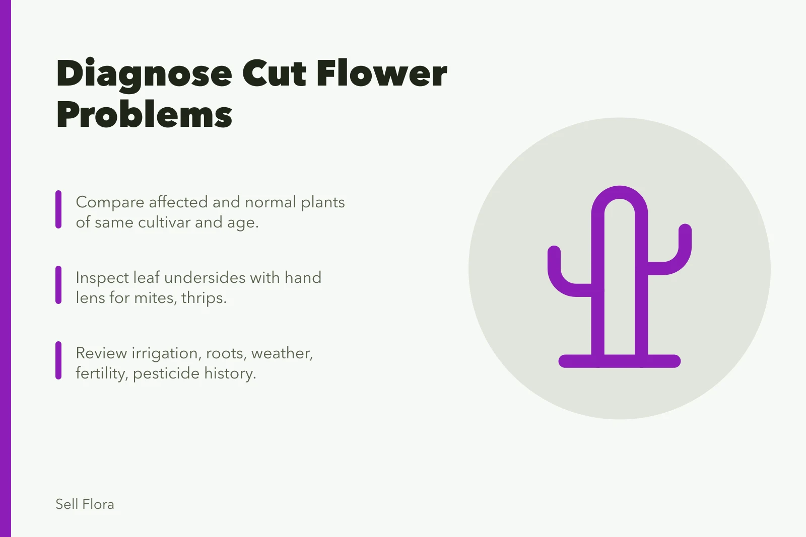 Cut flower disease diagnosis card with pale leaves and stunted growth. What pale leaves and stunted growth reveal about cut flower disease?