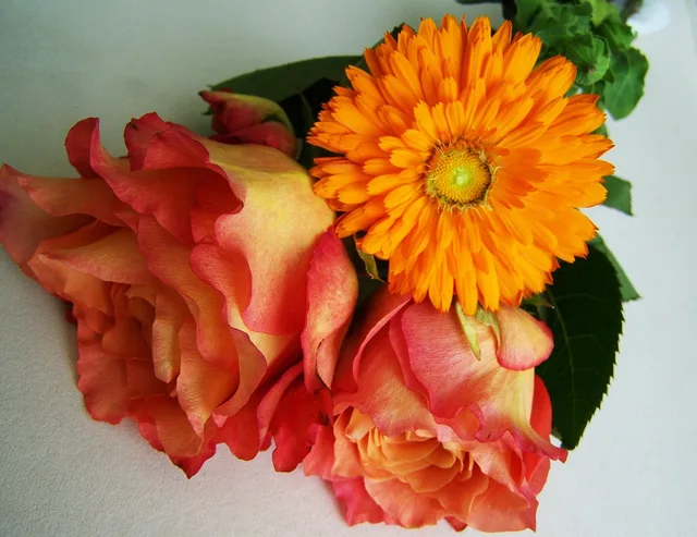 flower bouquet, orange-pink flowers, cut flower. Cut Flower Sales Operations Checklist From Offer to Payment