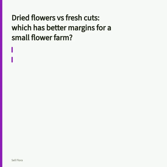 Dried flower bundles hanging upside down on a barn drying rack. Dried flowers vs fresh cuts: which has better margins for a small flower farm?