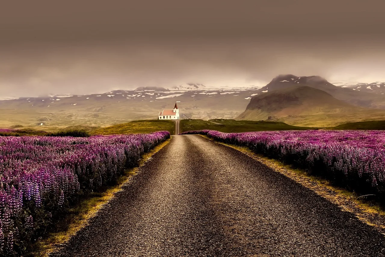 flowers, flower background, road, beautiful flowers, field, lavenders, farm, lavender field, iceland, landscape, nature, outdoors, church, rural, countryside, mountains, flower wallpaper, sky. Flower Farm Compliance Guide: A Records Framework