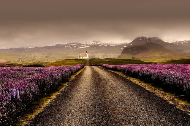 flowers, flower background, road, beautiful flowers, field, lavenders, farm, lavender field, iceland, landscape, nature, outdoors, church, rural, countryside, mountains, flower wallpaper, sky. Flower Farm Compliance Guide: A Records Framework