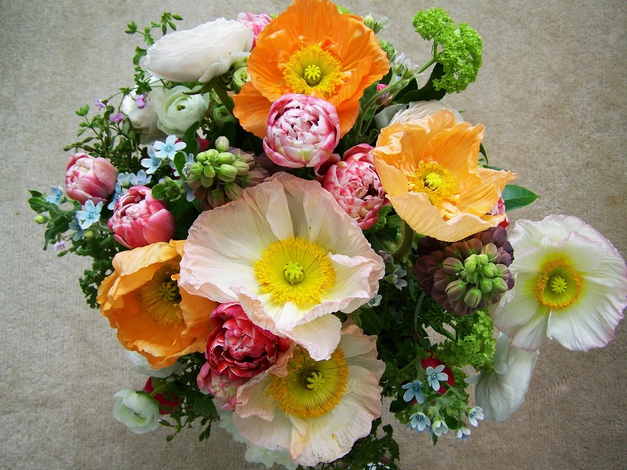 bouquet of flowers, mixed flower, cut flower, bouquet of flowers, bouquet of flowers, bouquet of flowers, bouquet of flowers, bouquet of flowers. Importing cut flowers into the US from Colombia and Ecuador