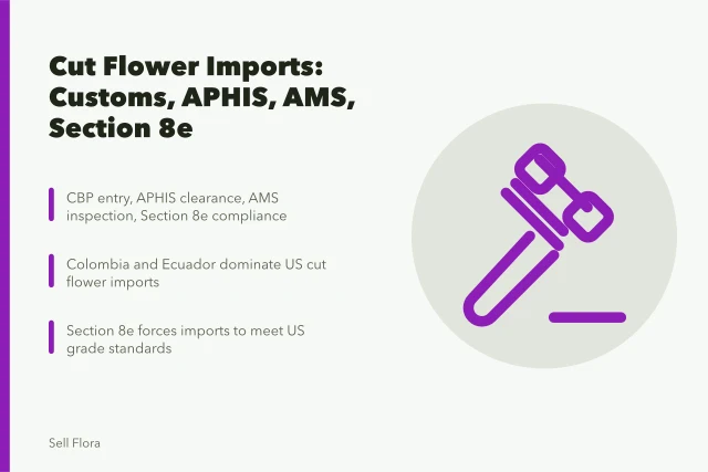 Cut flower import regulations: customs, APHIS, AMS, Section 8e. Cross-border cut flower trade, importing from Colombia and Ecuador into the US