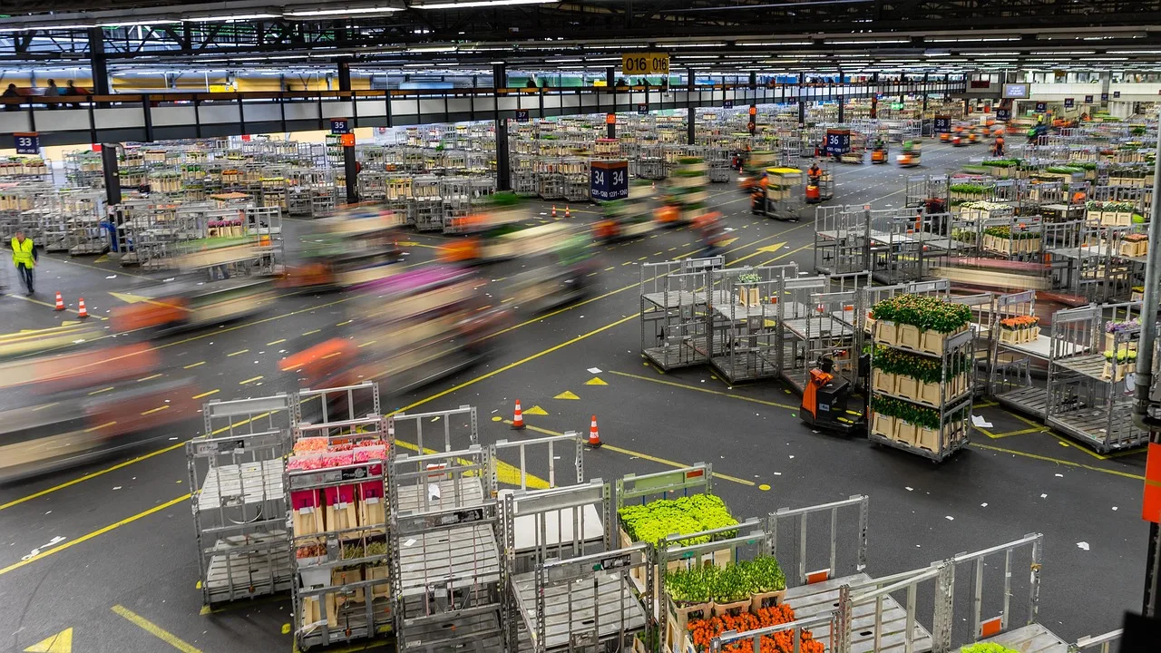 flower market, holland, netherlands, bloom, tulips, tulip, floral, colorful, long exposure, blur, gray market, flower market, flower market, flower market, flower market, flower market. New York Miami wholesale florist expectations: grower guide