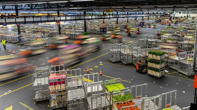 flower market, holland, netherlands, bloom, tulips, tulip, floral, colorful, long exposure, blur, gray market, flower market, flower market, flower market, flower market, flower market. New York Miami wholesale florist expectations: grower guide