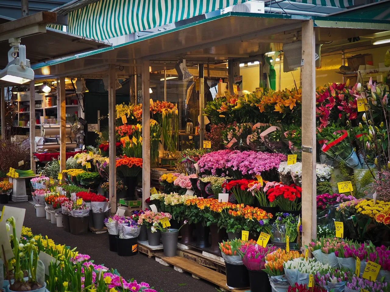market, flower, farmers local market, flower stand, flower trade, market stall, flower sale, plant, sale, colorful, cut flowers, dusseldorf. Portland Seattle Cut Flower Market Checklist for Growers