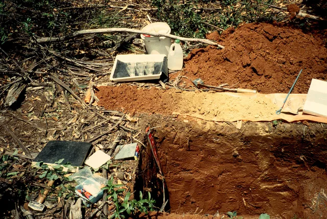 An excavated soil pit and auger soil samples (on plastic sheet) for soil profile. Various field gear is displayed for describing the soil morphology and measuring soil properties such as aggregate stability ' note plastic tray with small plastic glasses. Is a quick soil sample enough to represent a whole cut flower bed?