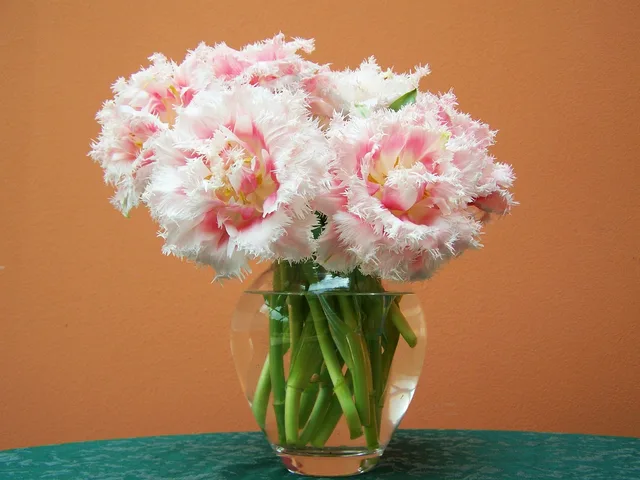 bouquet of tulips, cut flower, spring flower. Selling cut flowers to florists in Canada: tax and invoice basics