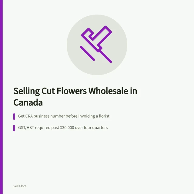 Card on Canadian cut flower wholesale tax and invoicing rules. Selling cut flowers to florists in Canada: provincial rules and tax basics