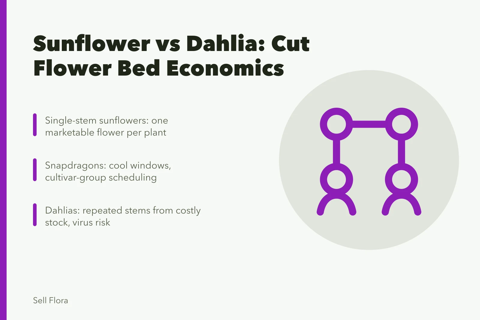 Comparison of sunflower, snapdragon, zinnia, and dahlia cut flower production factors. Sunflower or dahlia: which cut flower earns more bed space?