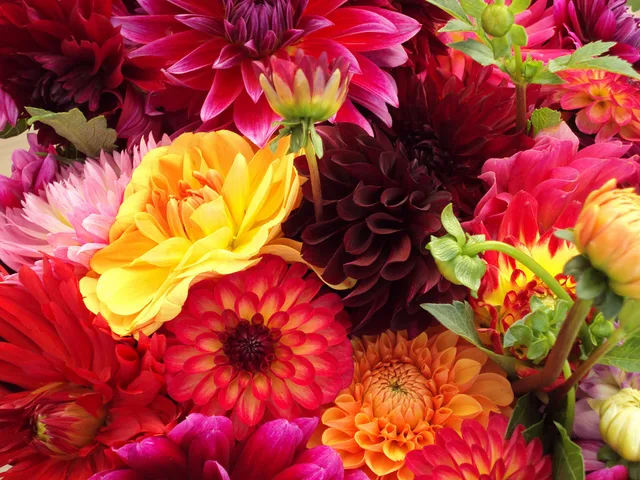 A bunch of varying types of flowers at an open-air farmers' market. Texas farmers market cut flower vendor rules and sales tax basics