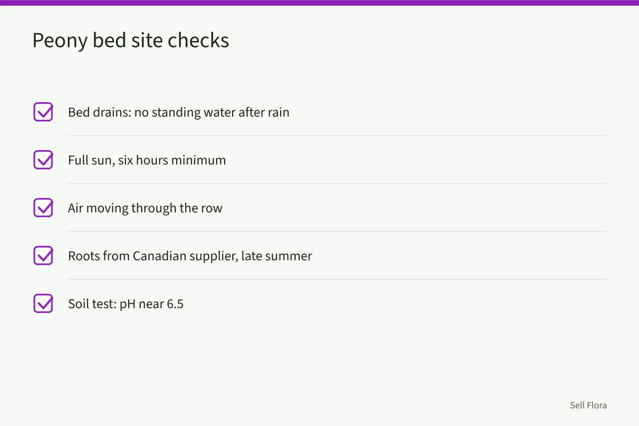 Checklist of five site requirements for planting peonies (When should Ontario growers plant peonies for cut flower harvest?)