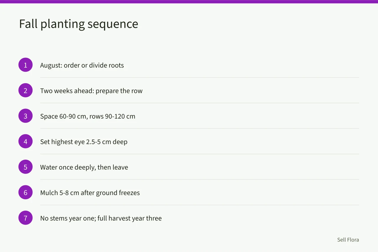 Seven-step fall planting sequence for cut flower peonies (When should Ontario growers plant peonies for cut flower harvest?)