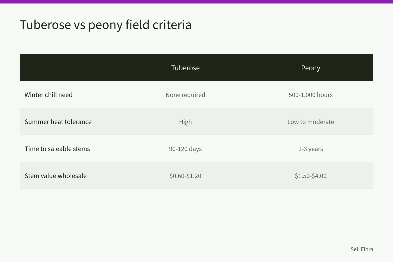 Comparison table of tuberose and peony field criteria (Tuberose vs peony: which cut flower suits a small southern farm?)
