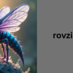 rovzizqintiz
